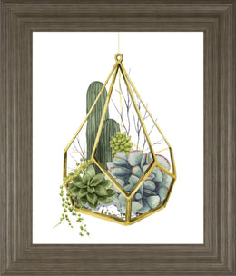 Wild Terrarium Iv By Grace Popp 22X26 Framed Print