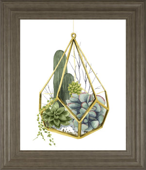 Wild Terrarium Iv By Grace Popp 22X26 Framed Print