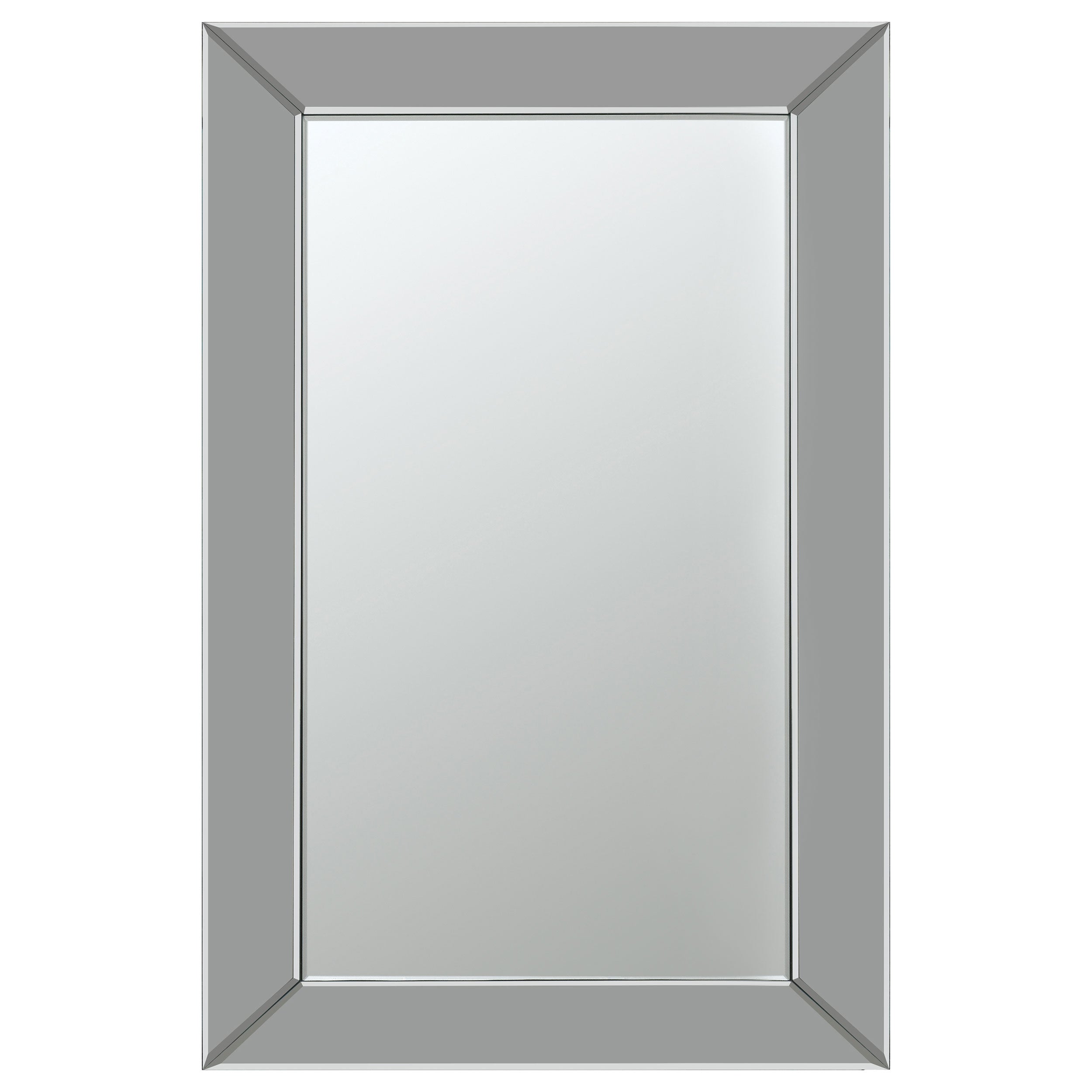Pinciotti 36 x 24 Inch Beveled Frame Wall Mirror Silver
