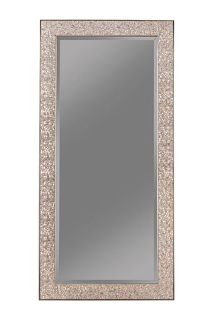 Rollins 32 x 66 Inch Rectangular Floor Mirror Black