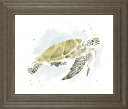Watercolor Sea Turtle Study I By June Erica Vess 22X26 Framed Print