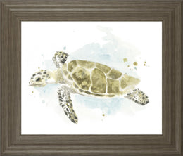 Watercolor Sea Turtle Study Ii By June Erica Vess 22X26 Framed Print