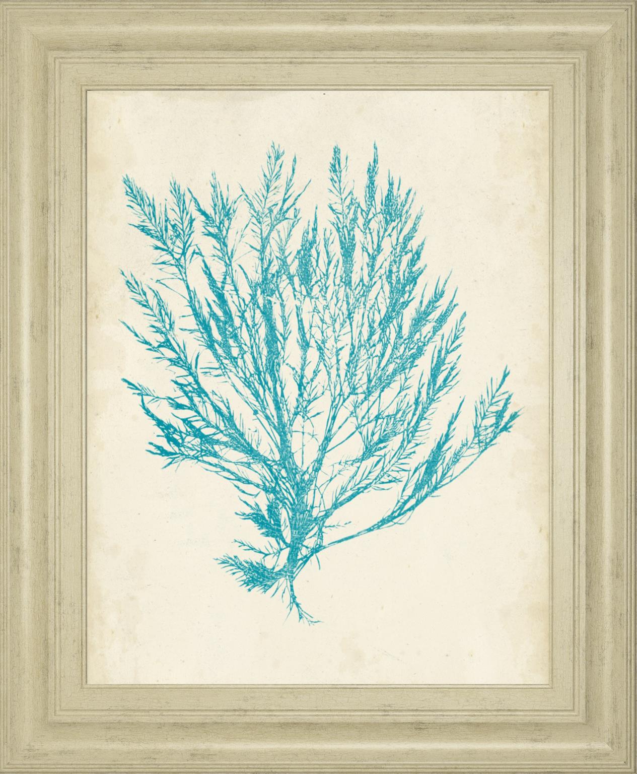 Aquamarine Seaweed Iv By Vision Studio 22X26 Framed Print