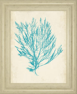 Aquamarine Seaweed Iv By Vision Studio 22X26 Framed Print