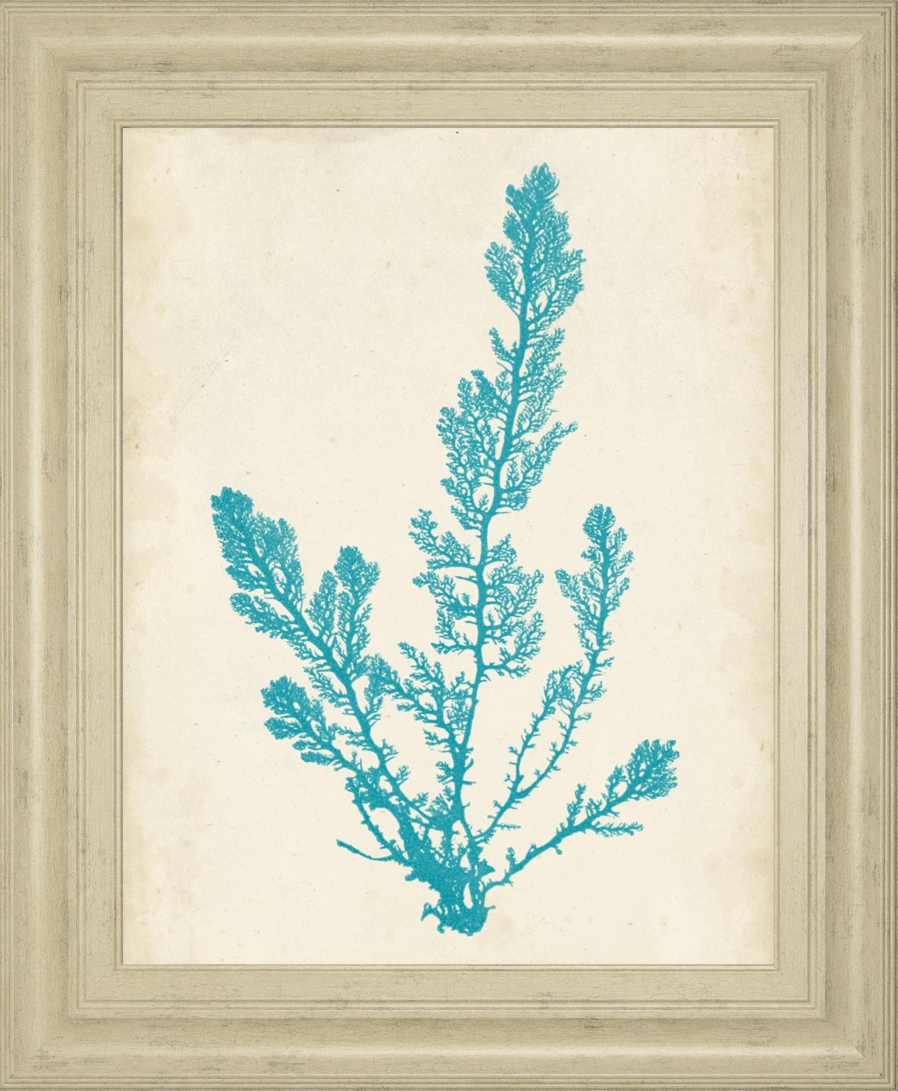 Aquamarine Seaweed Vi By Vision Studio 22X26 Framed Print