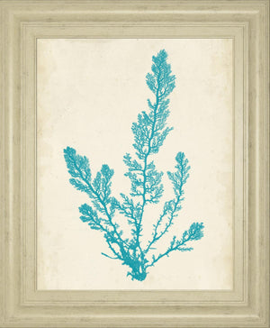 Aquamarine Seaweed Vi By Vision Studio 22X26 Framed Print