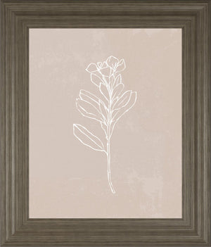Blush Bloom I By Annie Warren 22X26 Framed Print