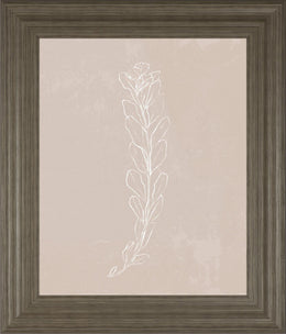 Blush Bloom Ii By Annie Warren 22X26 Framed Print