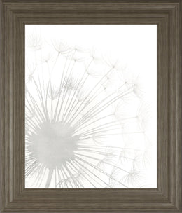 Dandelion Whisper I By Grace Popp 22X26 Framed Print