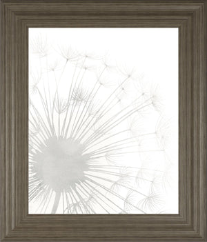 Dandelion Whisper I By Grace Popp 22X26 Framed Print