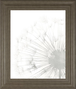 Dandelion Whisper Ii By Grace Popp 22X26 Framed Print