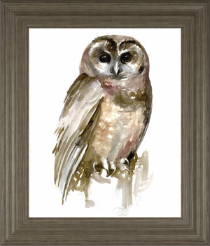 Watercolor Owl Ii By Jennifer Paxton Parker 22X26 Framed Print