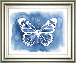 Butterfly Inkling Ii By Grace Popp 22X26 Framed Print
