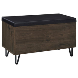 Brixton 2-door Padded Entryway Shoe Storage Bench Black
