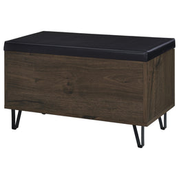 Brixton 2-door Padded Entryway Shoe Storage Bench Black