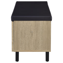 Brixton 2-door Padded Entryway Shoe Storage Bench Black
