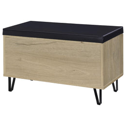 Brixton 2-door Padded Entryway Shoe Storage Bench Black
