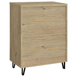 Brixton 2-door Entryway Shoe Storage Cabinets Black