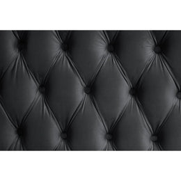 B8010 Royal (Black)