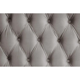 B8010 Royal (Grey)