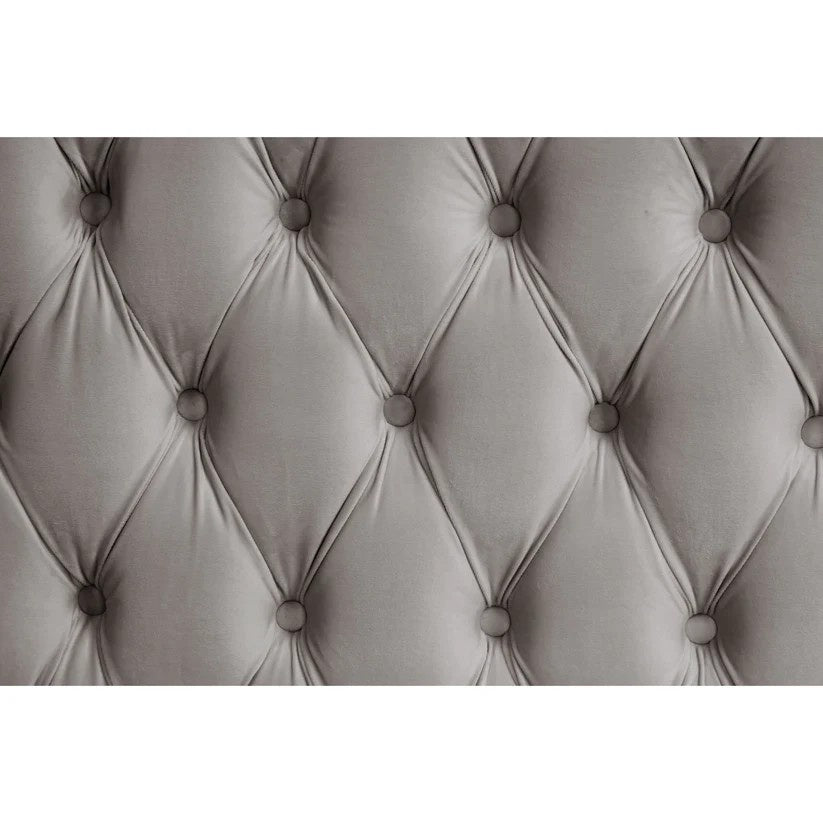 B8010 Royal (Grey)