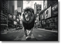 Glossy Painted Framed Canvas - King Of The City Curated Canvas
