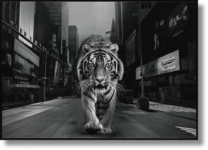 Glossy Painted Framed Canvas - Tiger Of The City Curated Canvas