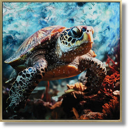 Curated Canvas