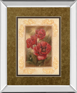 Mirrored Frame Daphne'S Poppies By Vivian Flasch 34X40 Mirror Frame Print