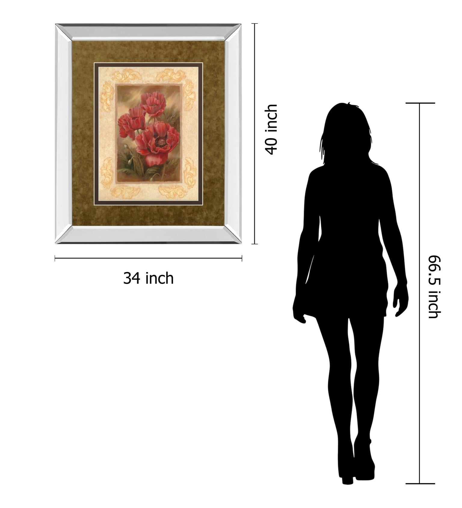 Mirrored Frame Daphne'S Poppies By Vivian Flasch 34X40 Mirror Frame Print