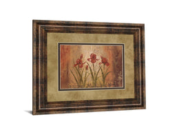 The Iris Style By Vivian Flasch 34X40 Framed Print