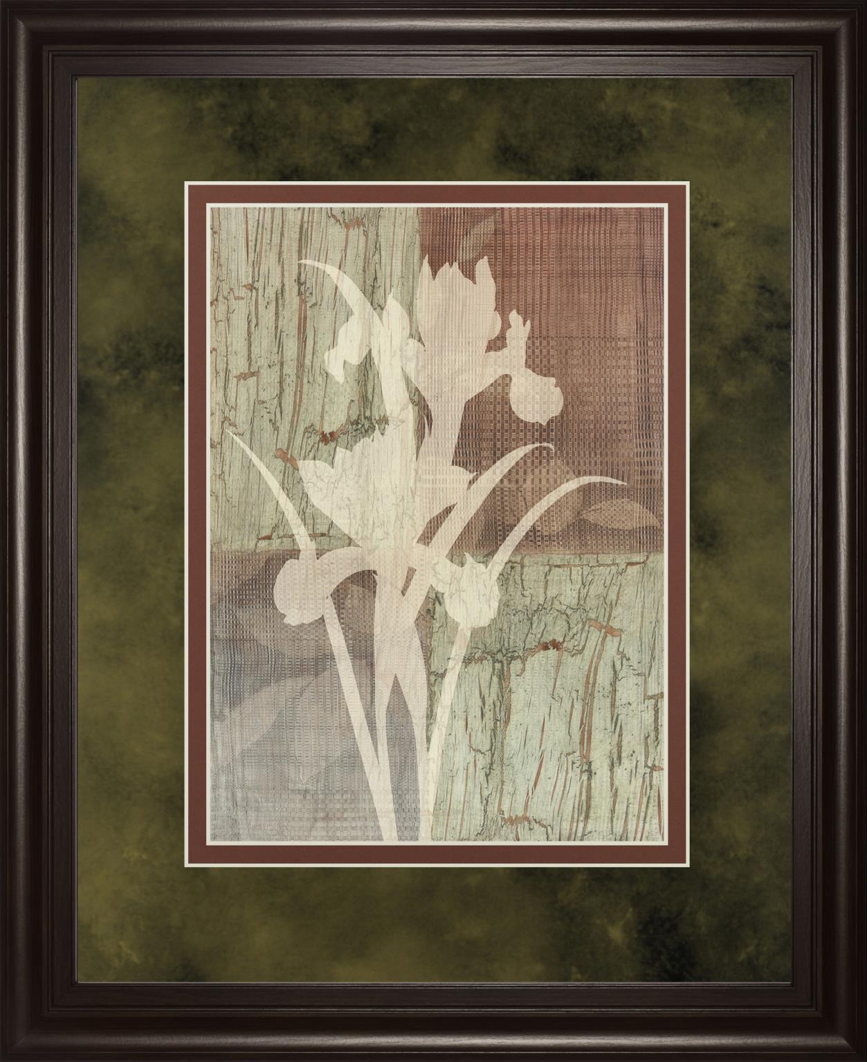 Iris Silhouette By Various 34X40 Framed Print