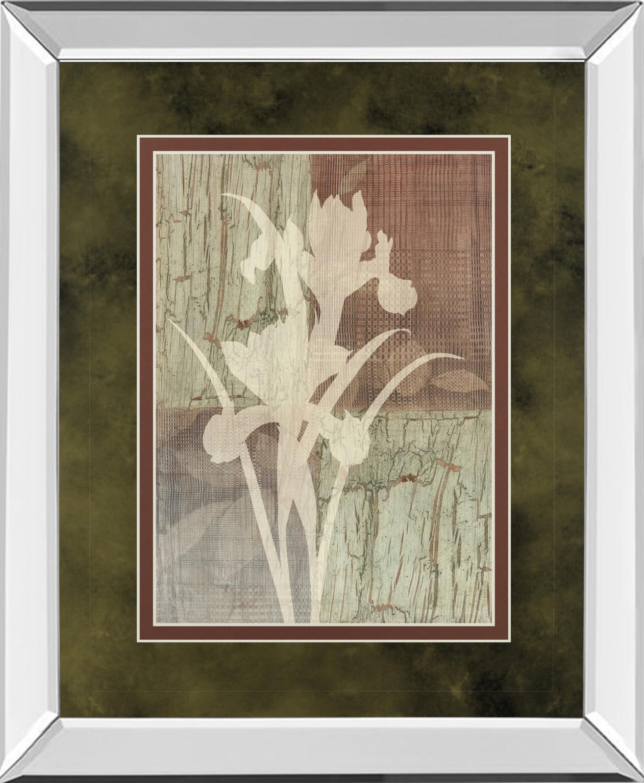 Mirrored Frame Iris Silhouette By Various 34X40 Mirror Frame Print