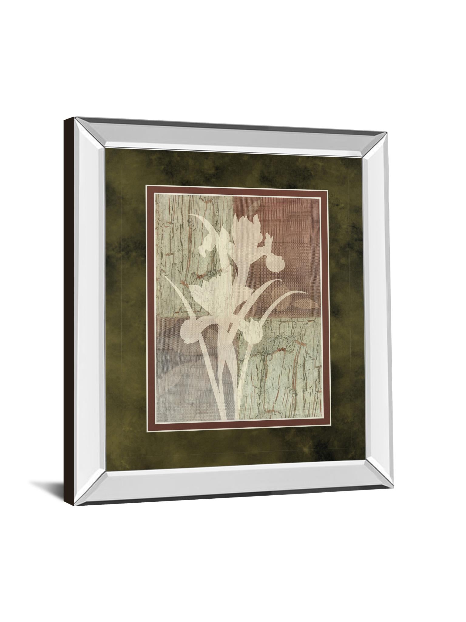 Mirrored Frame Iris Silhouette By Various 34X40 Mirror Frame Print