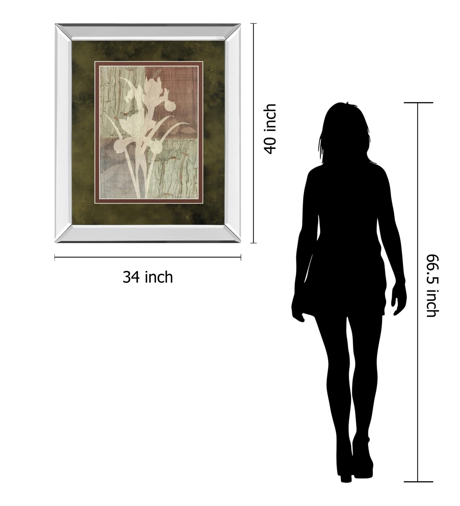 Mirrored Frame Iris Silhouette By Various 34X40 Mirror Frame Print