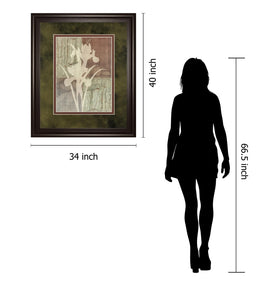Iris Silhouette By Various 34X40 Framed Print