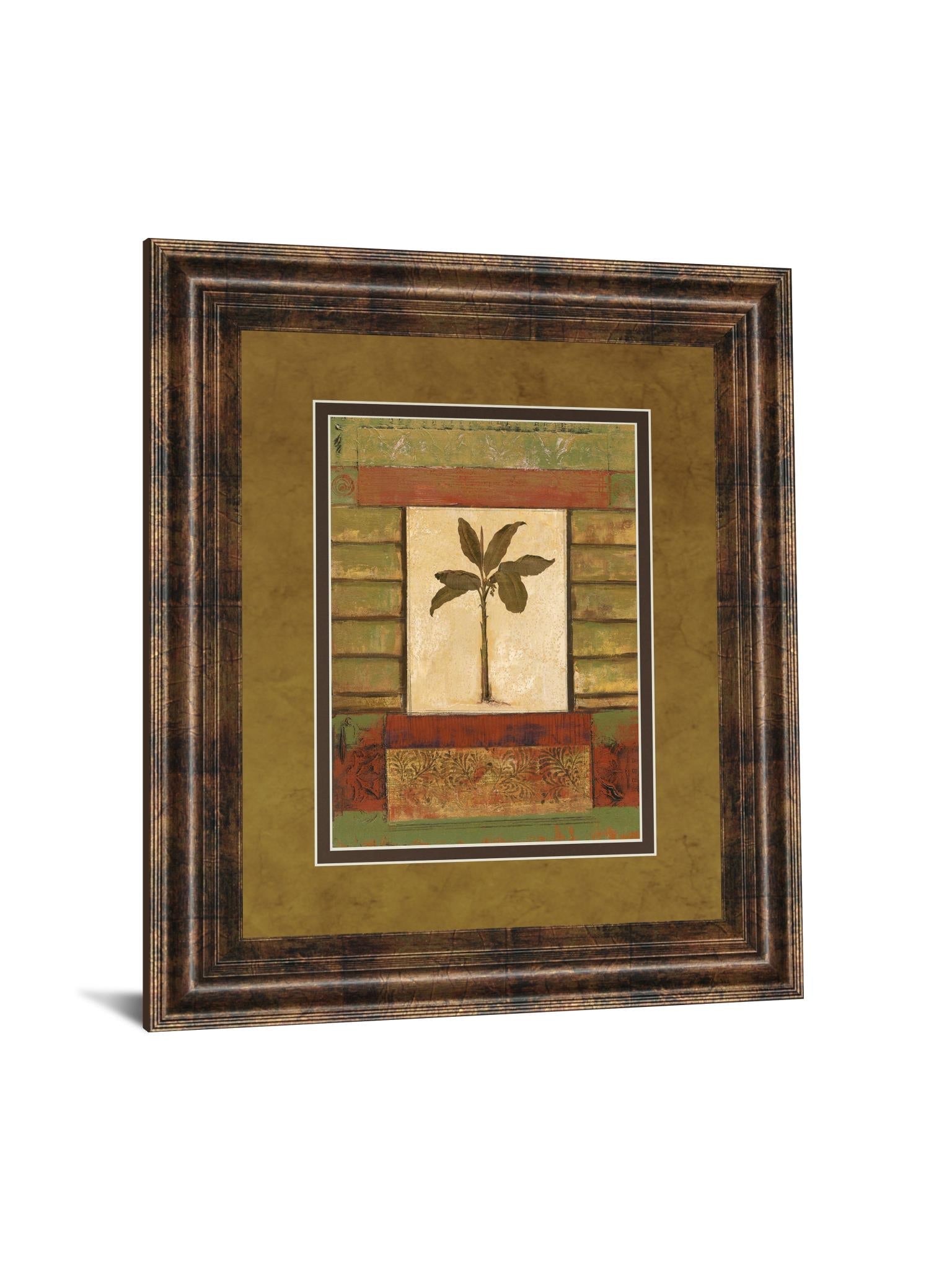 Classic Palm Ii By Rebecca Burton 34X40 Framed Print