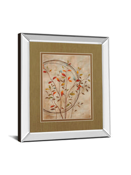Mirrored Frame Autumn'S Delight Ii By Nan 34X40 Mirror Frame Print