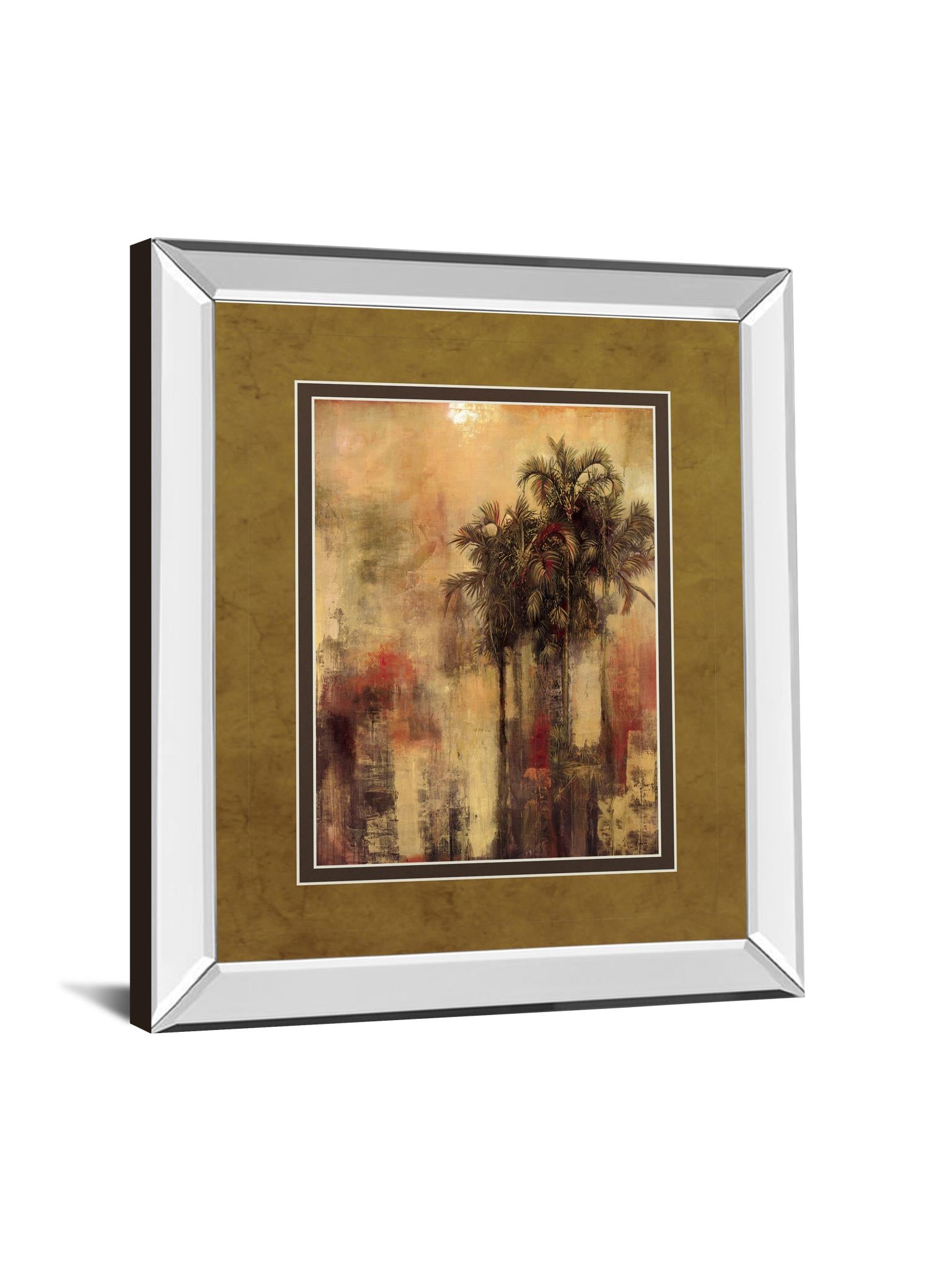 Mirrored Frame Tuscadero Ii By Douglas 34X40 Mirror Frame Print