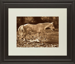 The Crossing  By Wendy Caro 34X40 Framed Print