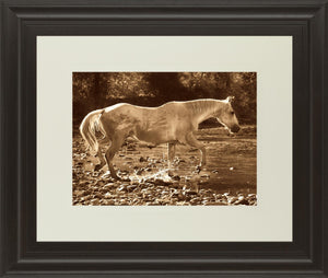 The Crossing  By Wendy Caro 34X40 Framed Print