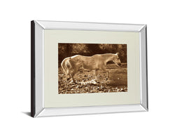 Mirrored Frame The Crossing  By Wendy Caro 34X40 Mirror Frame Print