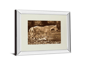 Mirrored Frame The Crossing  By Wendy Caro 34X40 Mirror Frame Print