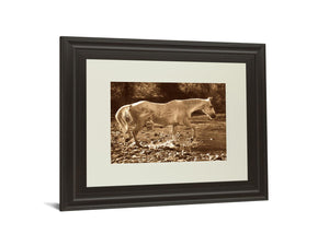 The Crossing  By Wendy Caro 34X40 Framed Print