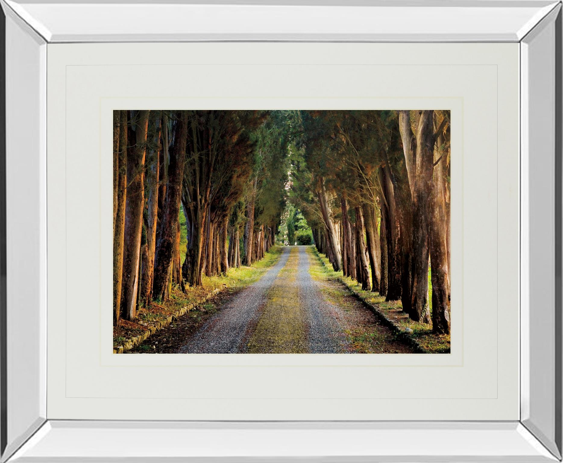 Mirrored Frame Tree Tunnel By Michael Tunnel ***Monl*** 34X40 Mirror Frame Print