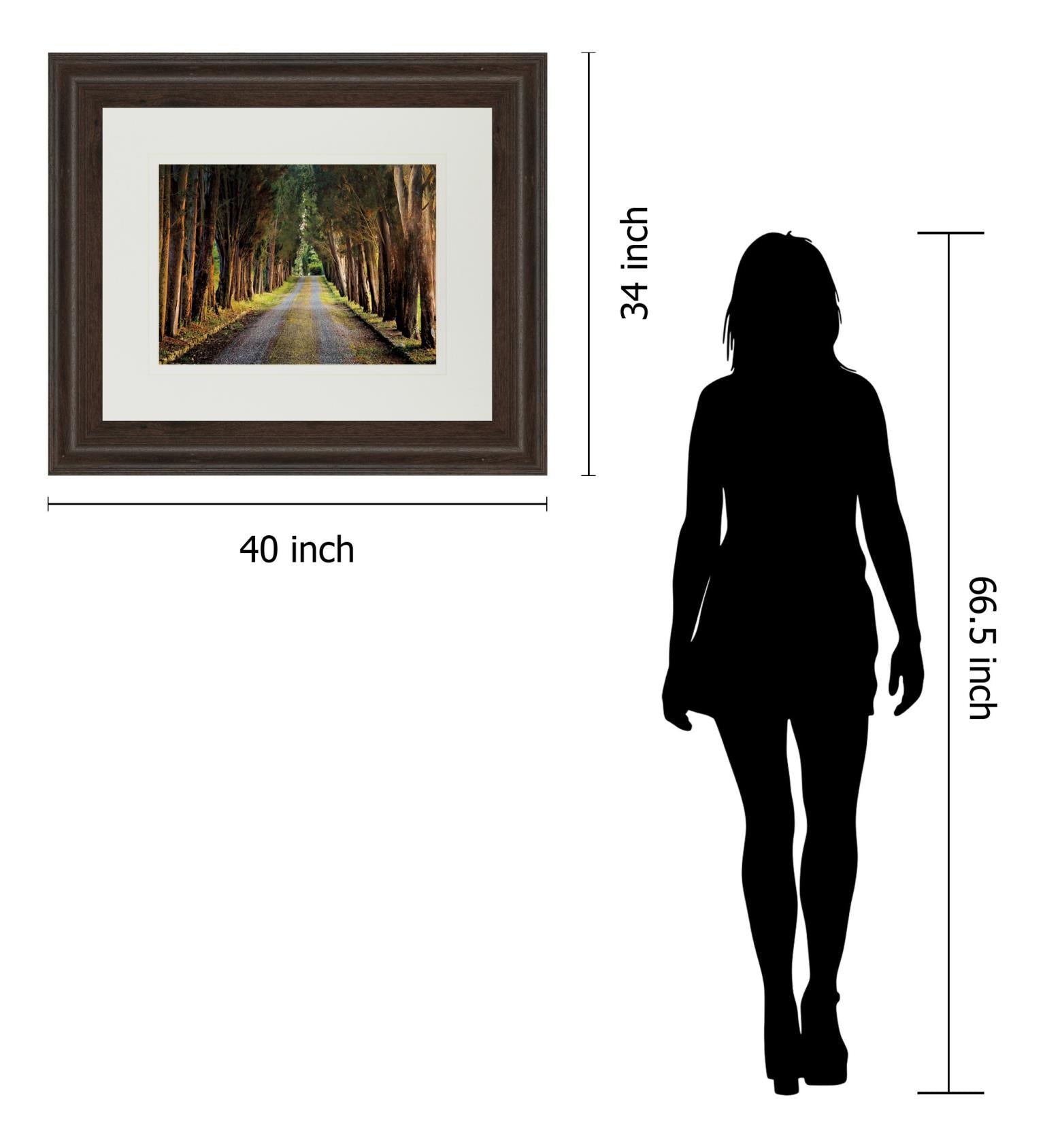 Tree Tunnel By Michael Tunnel ***Monl*** 34X40 Framed Print