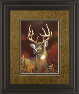 Deer Portrait By Leo Stans 34X40 Framed Print