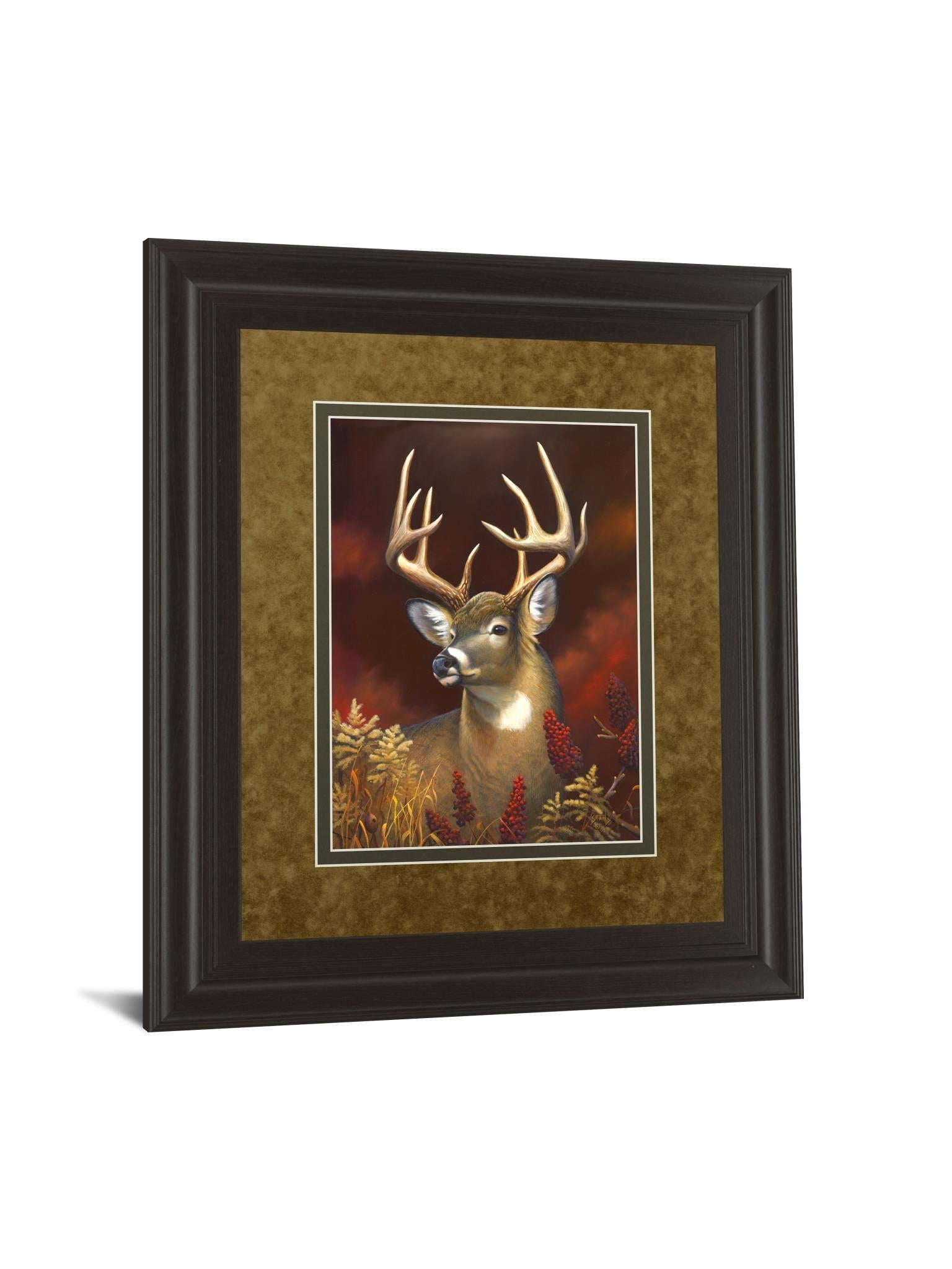 Deer Portrait By Leo Stans 34X40 Framed Print