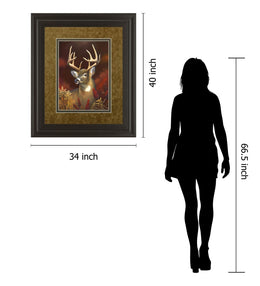 Deer Portrait By Leo Stans 34X40 Framed Print