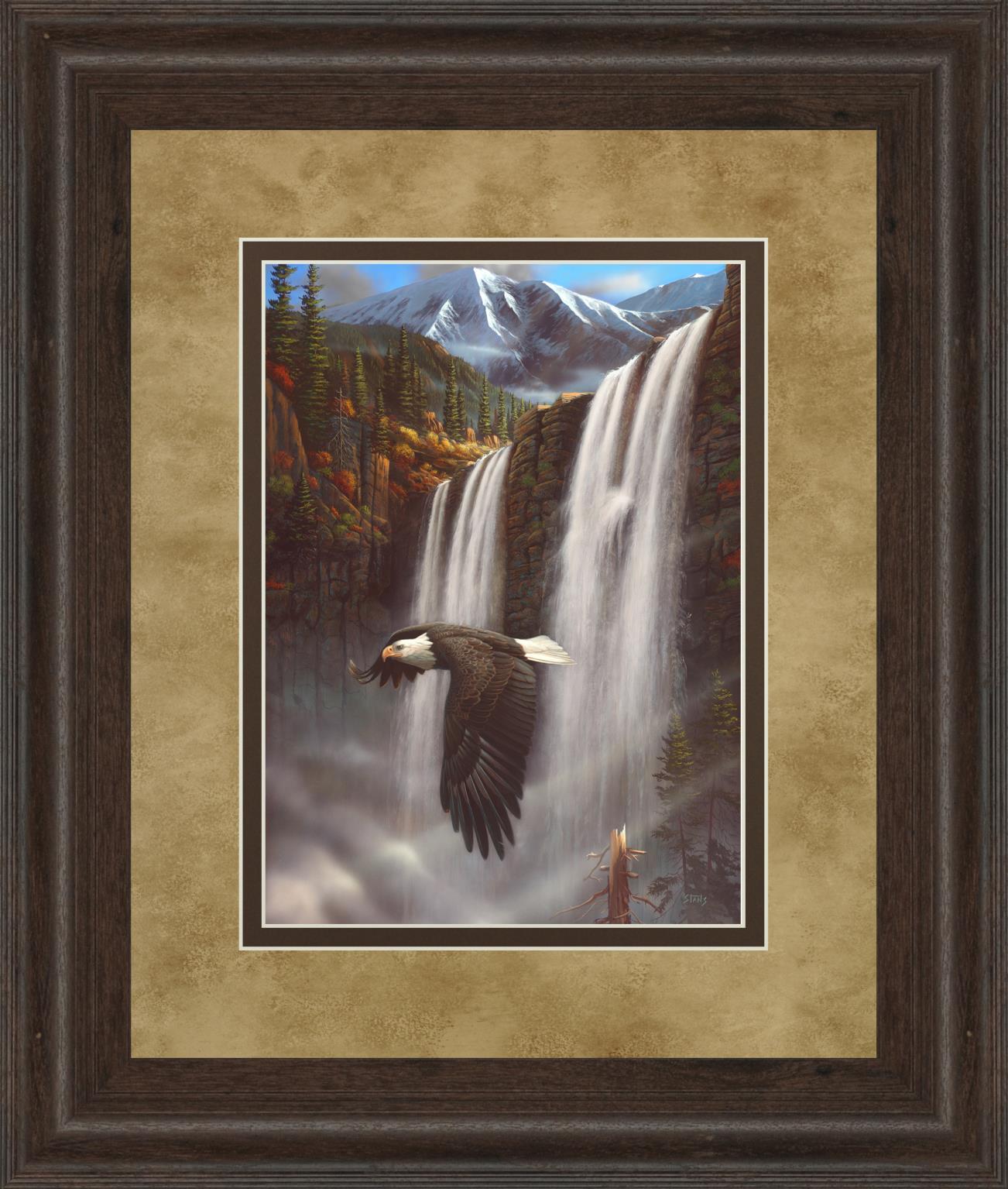 Eagle Portrait I By Leo Stans 34X40 Framed Print